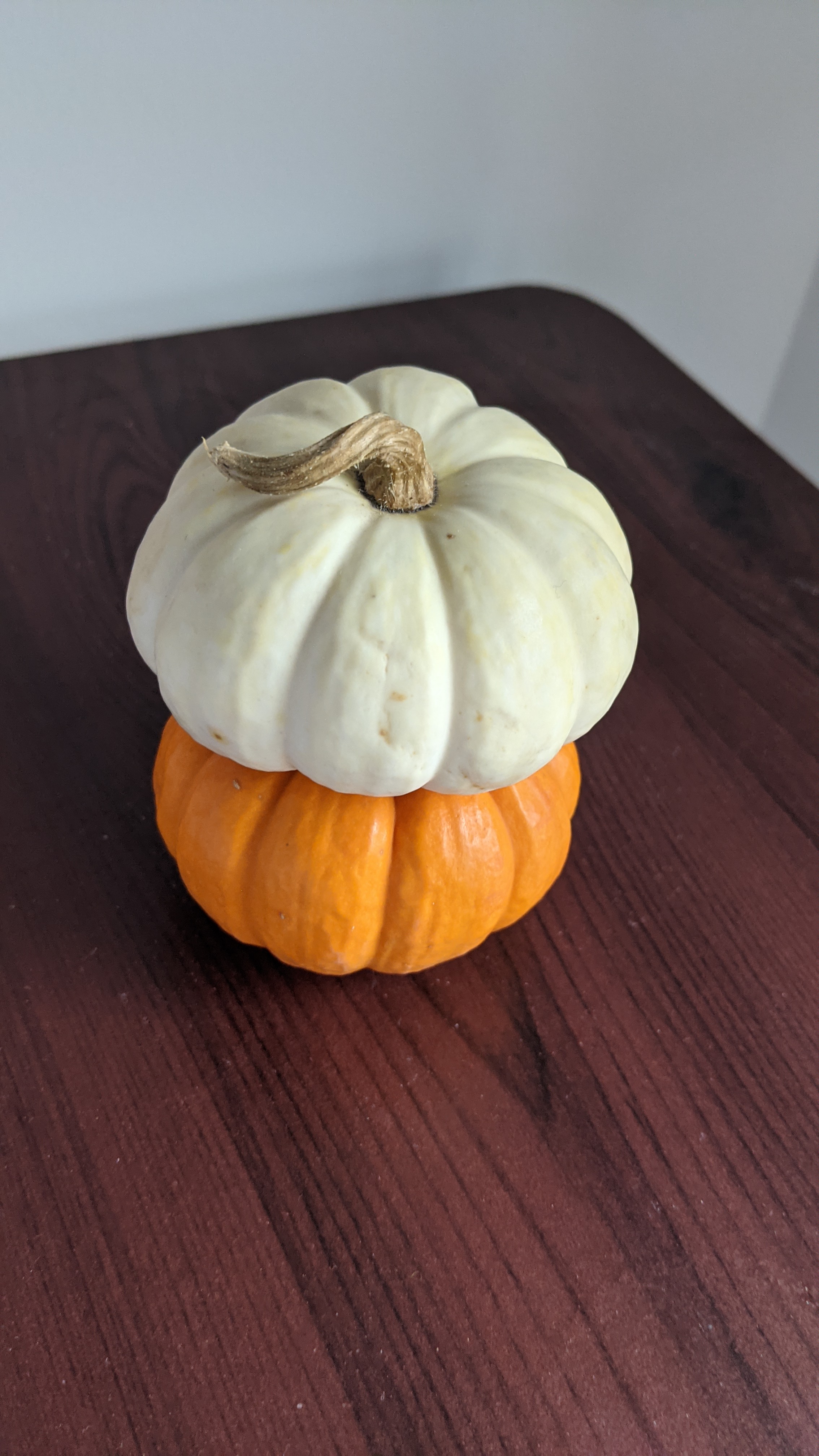 two pumpkins