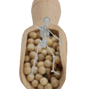 Skeleton